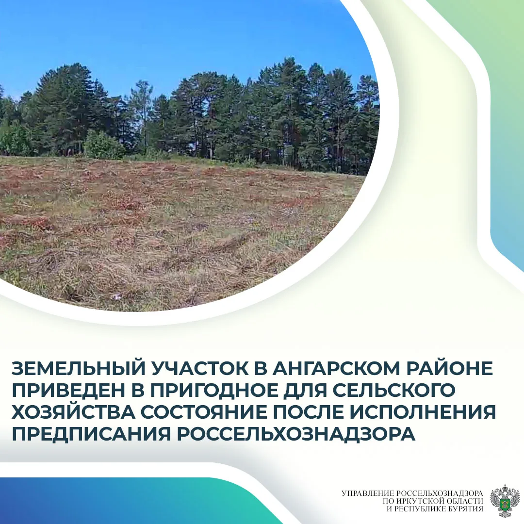 В марте 2026 года в ходе контрольного (надзорного) мероприятия на земельном участке пло...