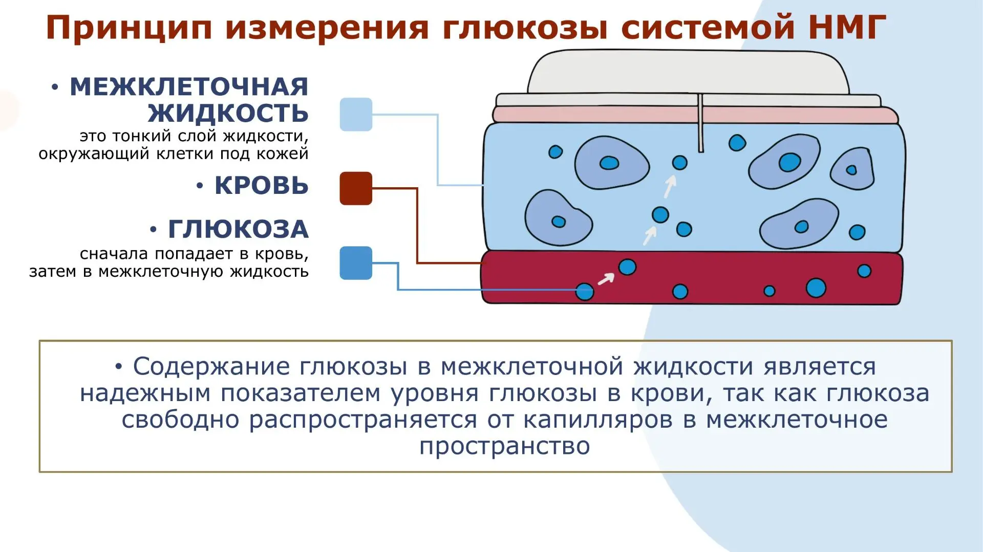 Министерство здравоохранения Российской Федерации в преддверии нового 2026/2027 учебног...