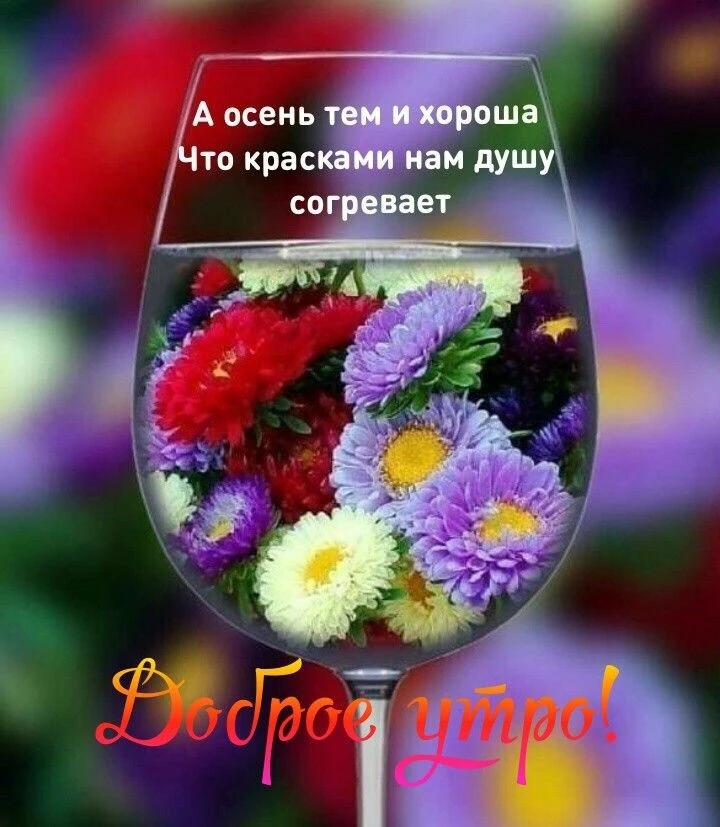 С добрым утром! С наступлением нового дня! Желаю тепла в душе и счастья в жизни!