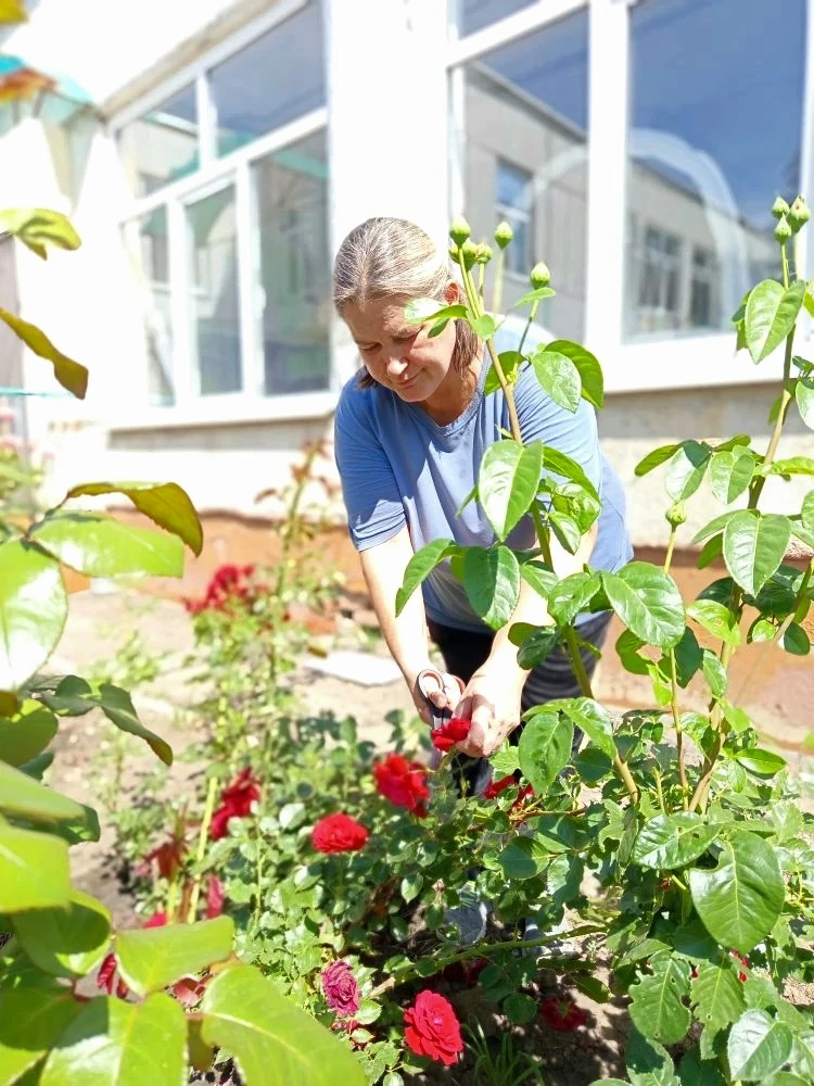 ☀️ Лето в  «Ростке» —  пора цветов! 

Кусты роз раскинули свои ароматные лепестки, словно приглашая 