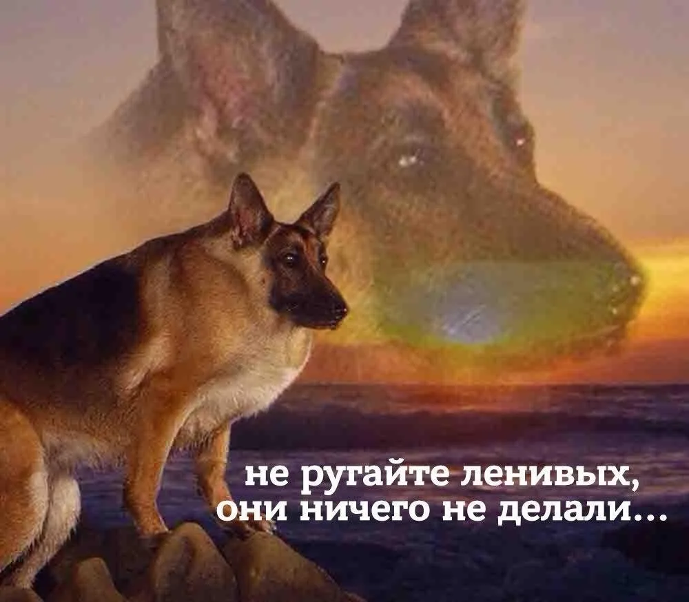 СЕГОДНЯ ВСЕМИРНЫЙ ДЕНЬ ЛЕНИ 😌🛋️