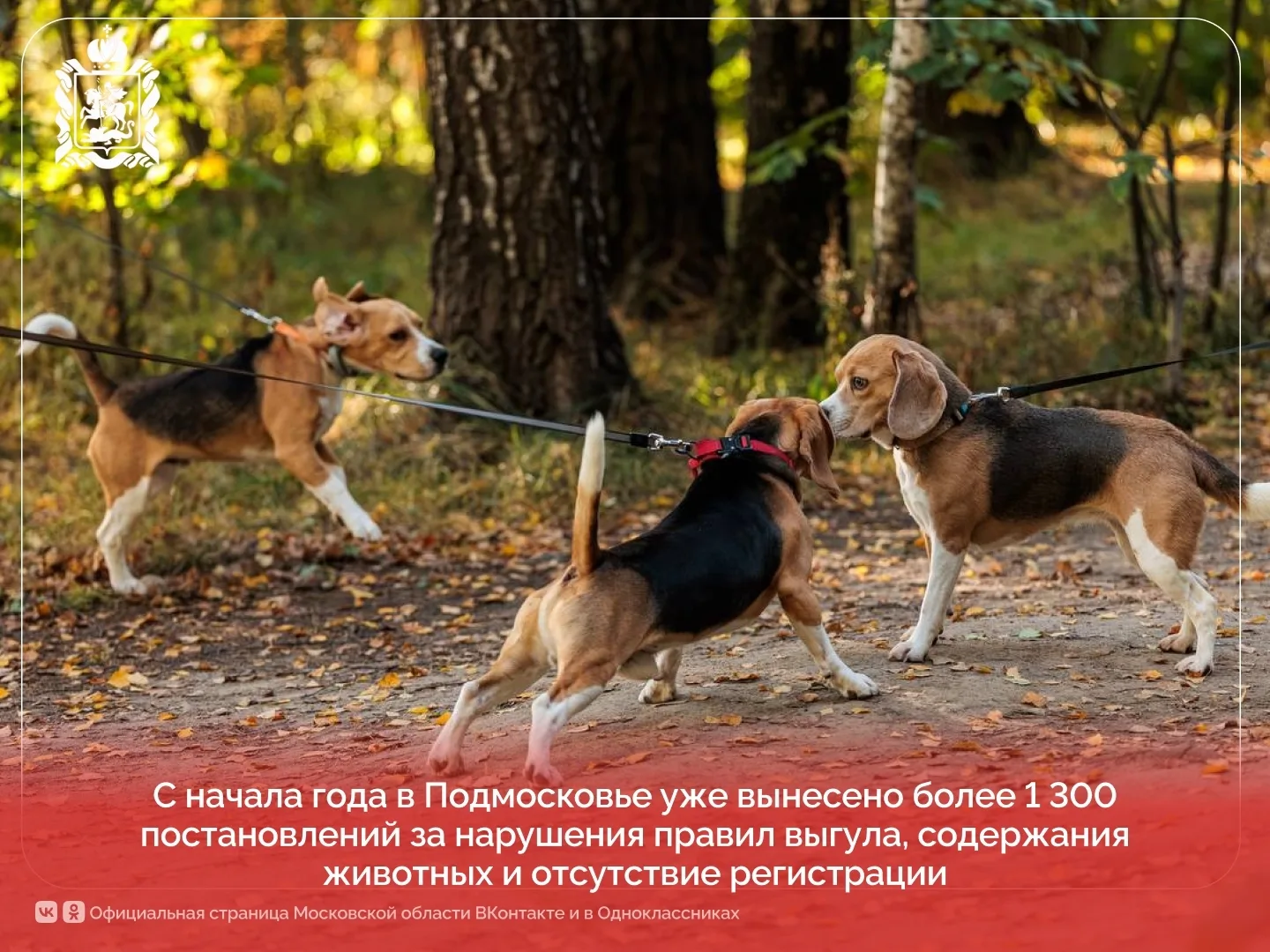 Апрелевка | Наро-Фоминский район | Москва🏡