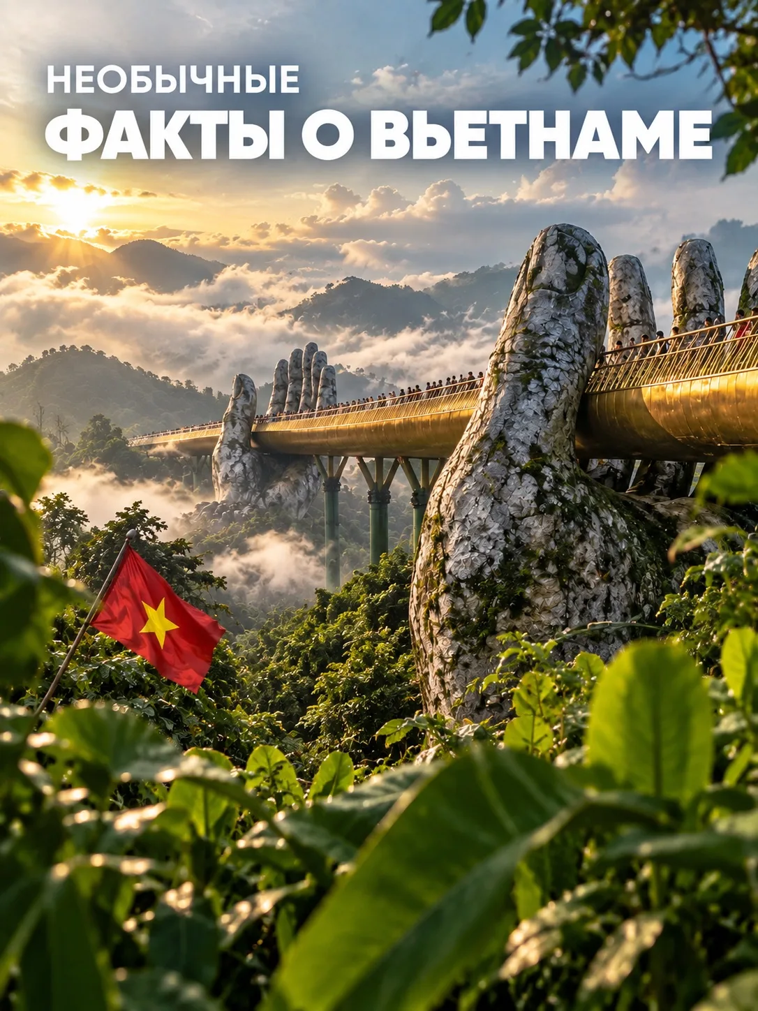 Необычные факты о ВЬЕТНАМЕ