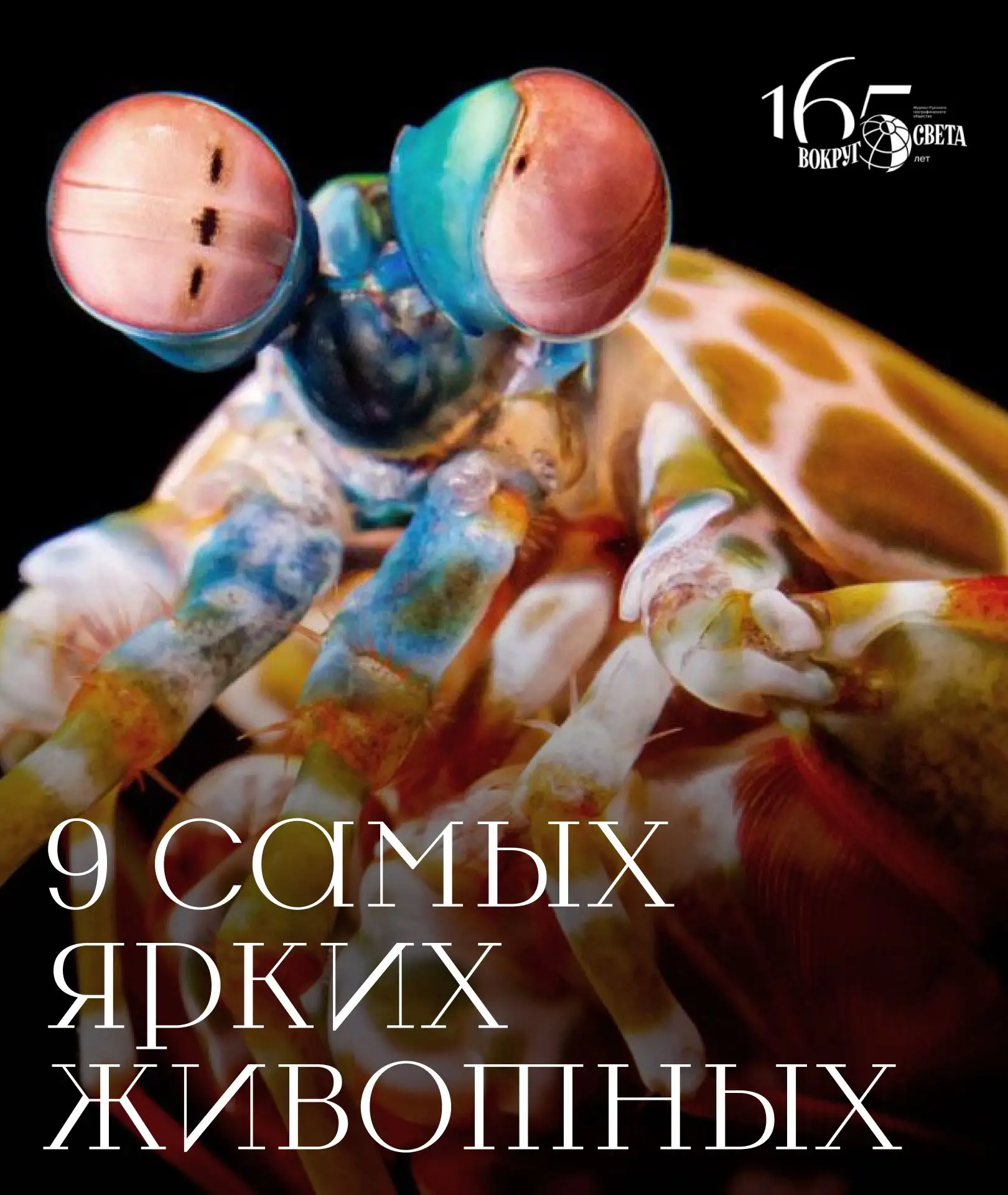 Изображение 1 к публикации «Вокруг Света | Путешествия История Наука»