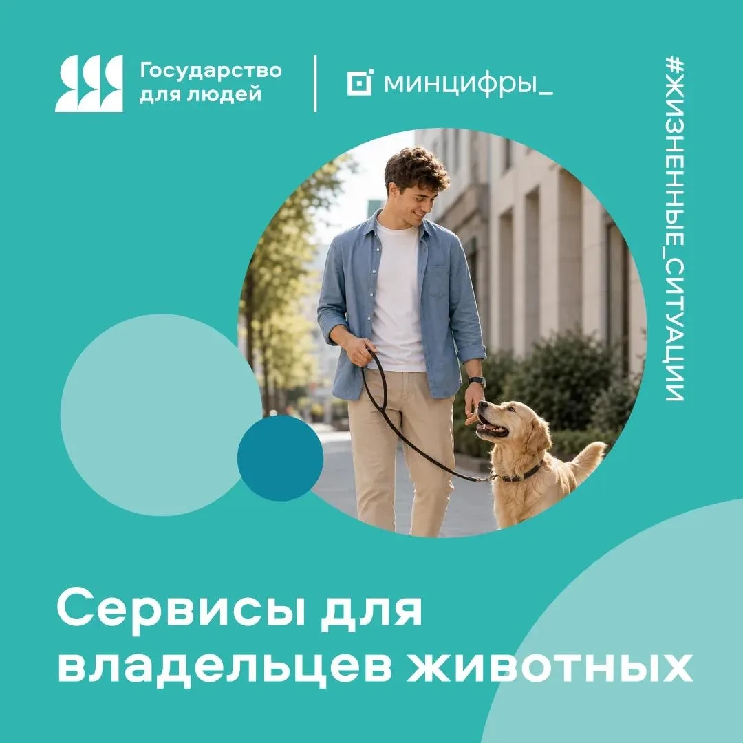 🐶 Жизненные ситуации на Госуслугах: все сервисы для владельцев животных на одной странице

Питомец 