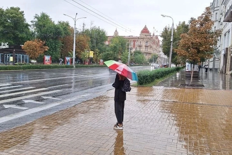 🌧️ Дожди и грозы придут в Ростовскую область на выходных