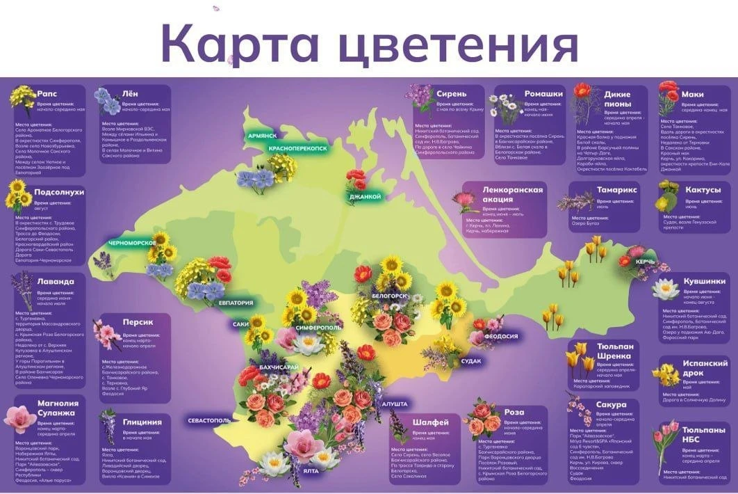 #РасцветайвКрыму