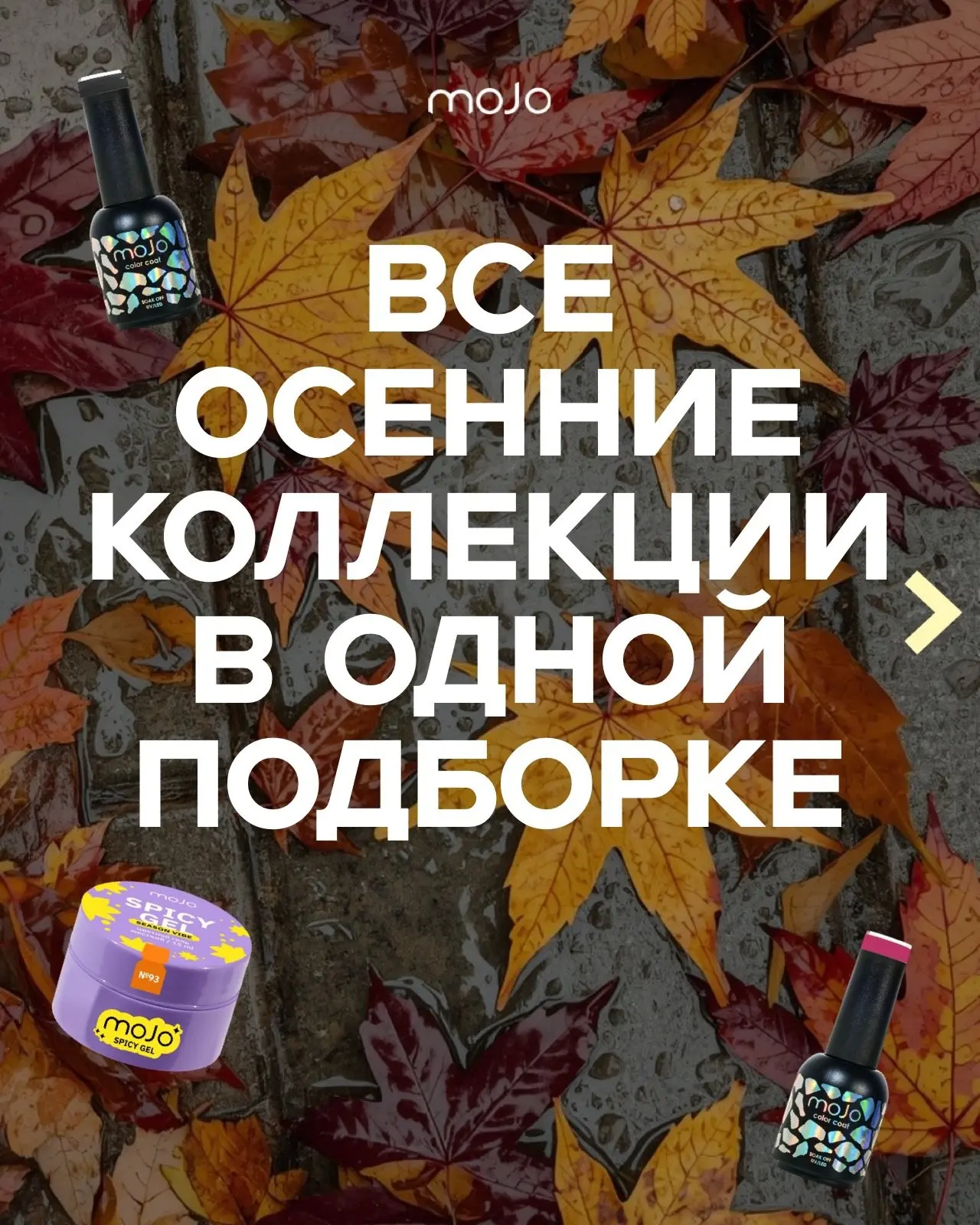 Подборка осенних коллекций от MOJO🍂
