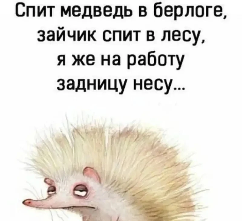 🤣Юмор в картинках