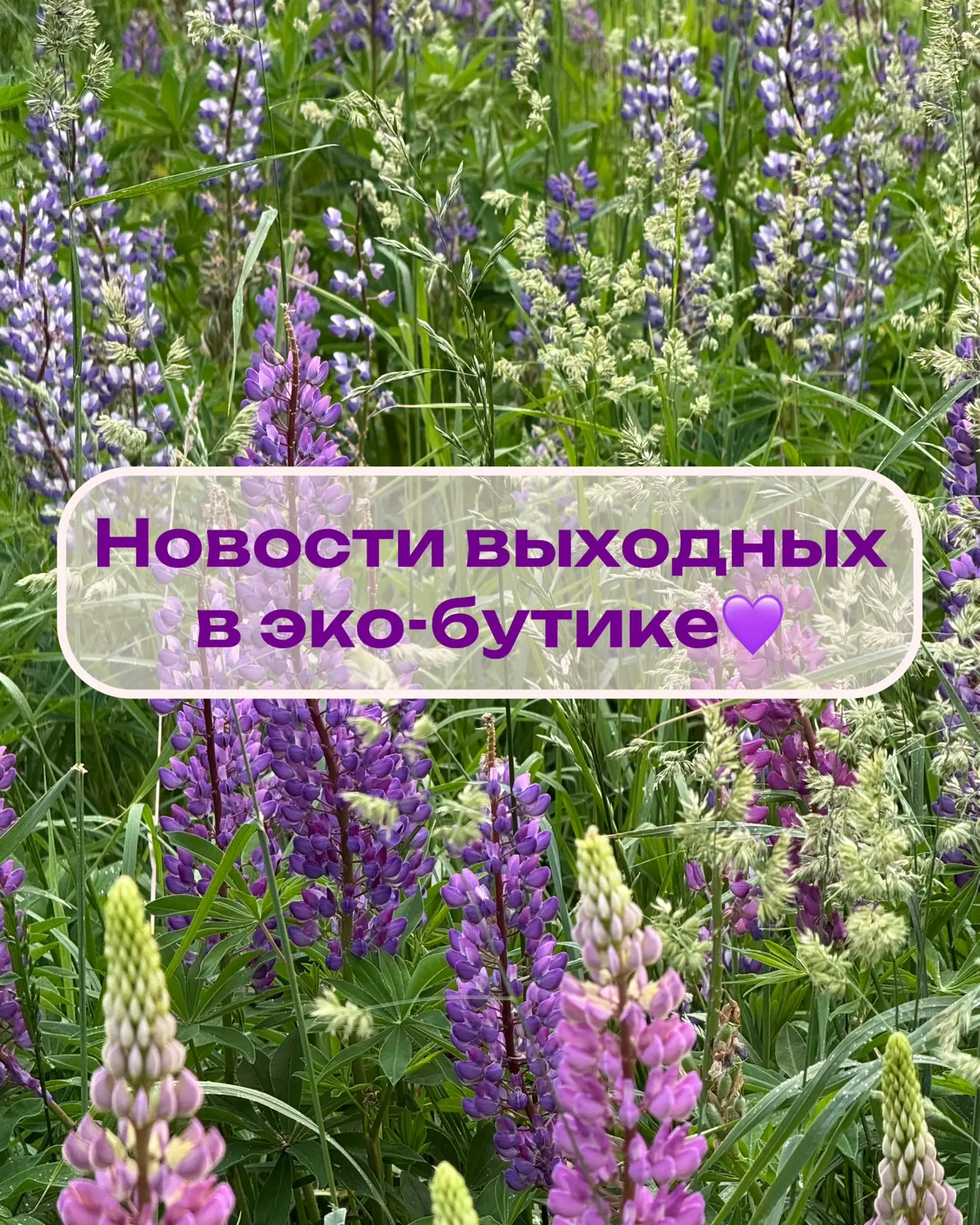 На эти выходные мы подготовили много активностей😍

Первое:
Приглашаем на диагностику кожи на соврем