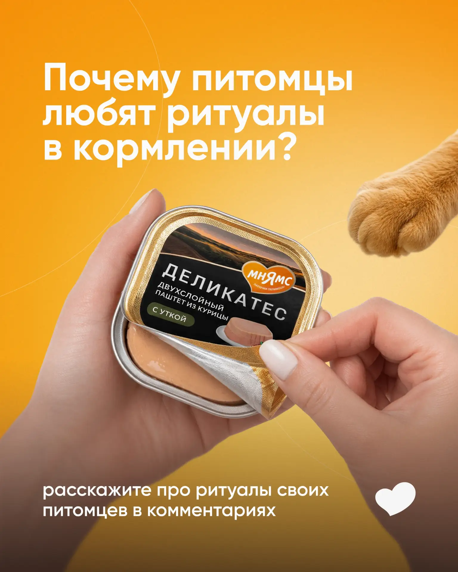 А что за ритуалы в кормлении? Что-то вроде церемоний? Конечно, нет 🧩