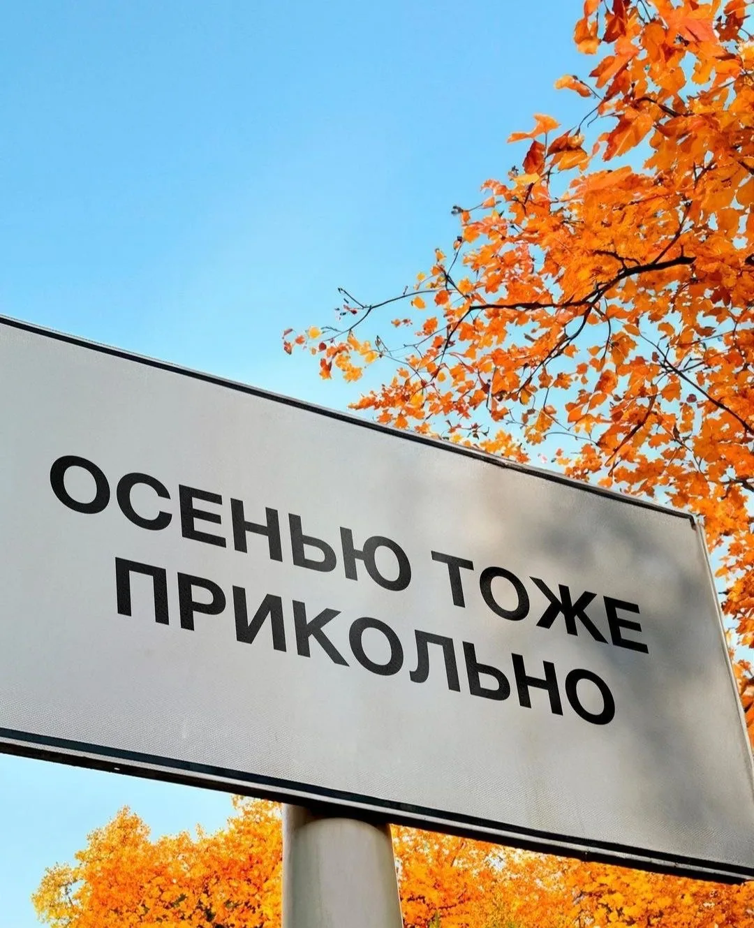 Всех поздравляем с новым сезоном.