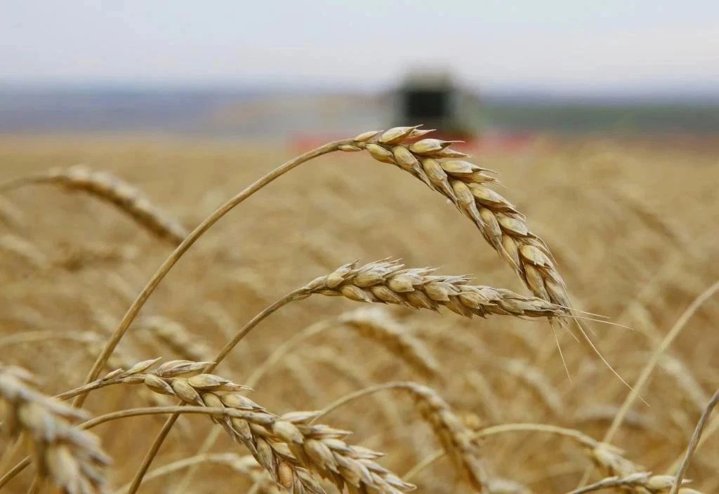 Жителей Иркутской области приглашают сочинить «Гимн села»