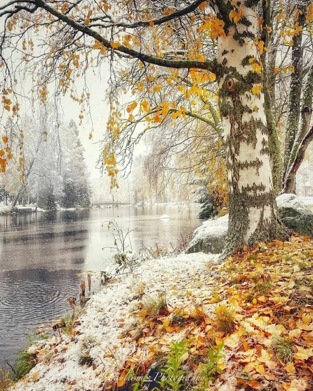 Подборка красивых фотографий. Какое фото нравится вам больше 1,2,3...10?