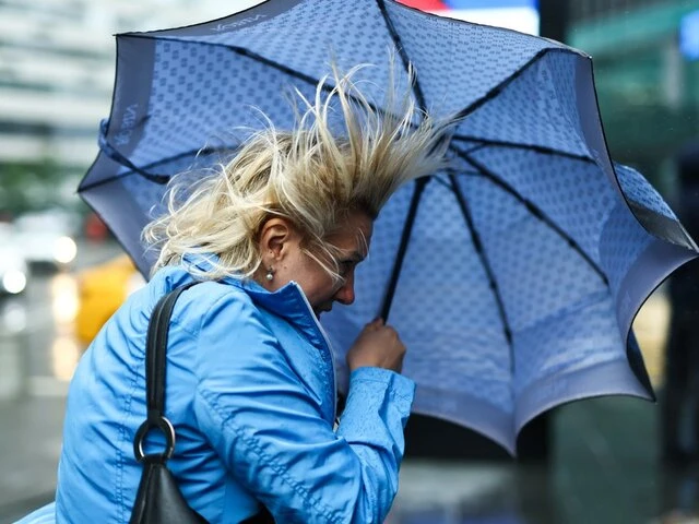 Гроза и порывистый ветер обрушатся на Москву во вторник

🌩️ Днём воздух прогреется до 25-27 градусо