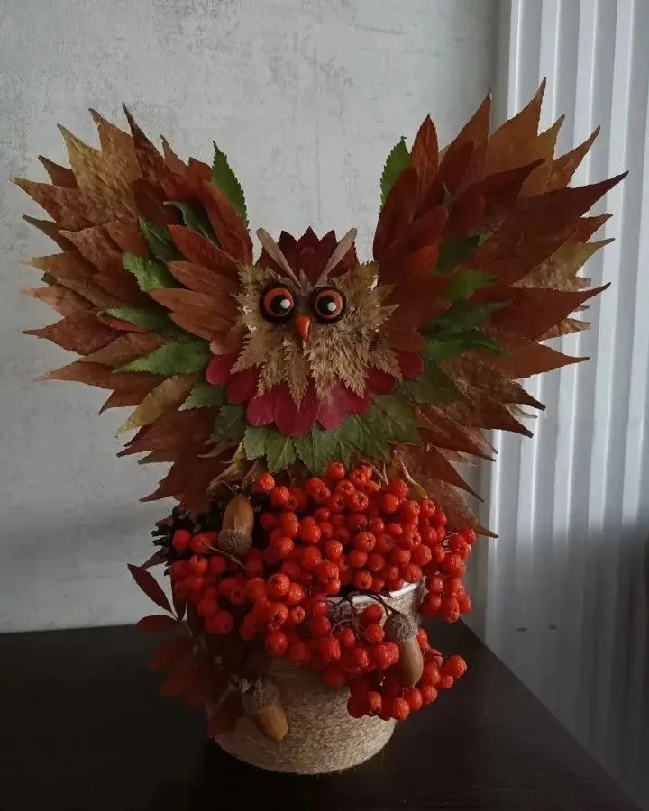 Сова 🦉