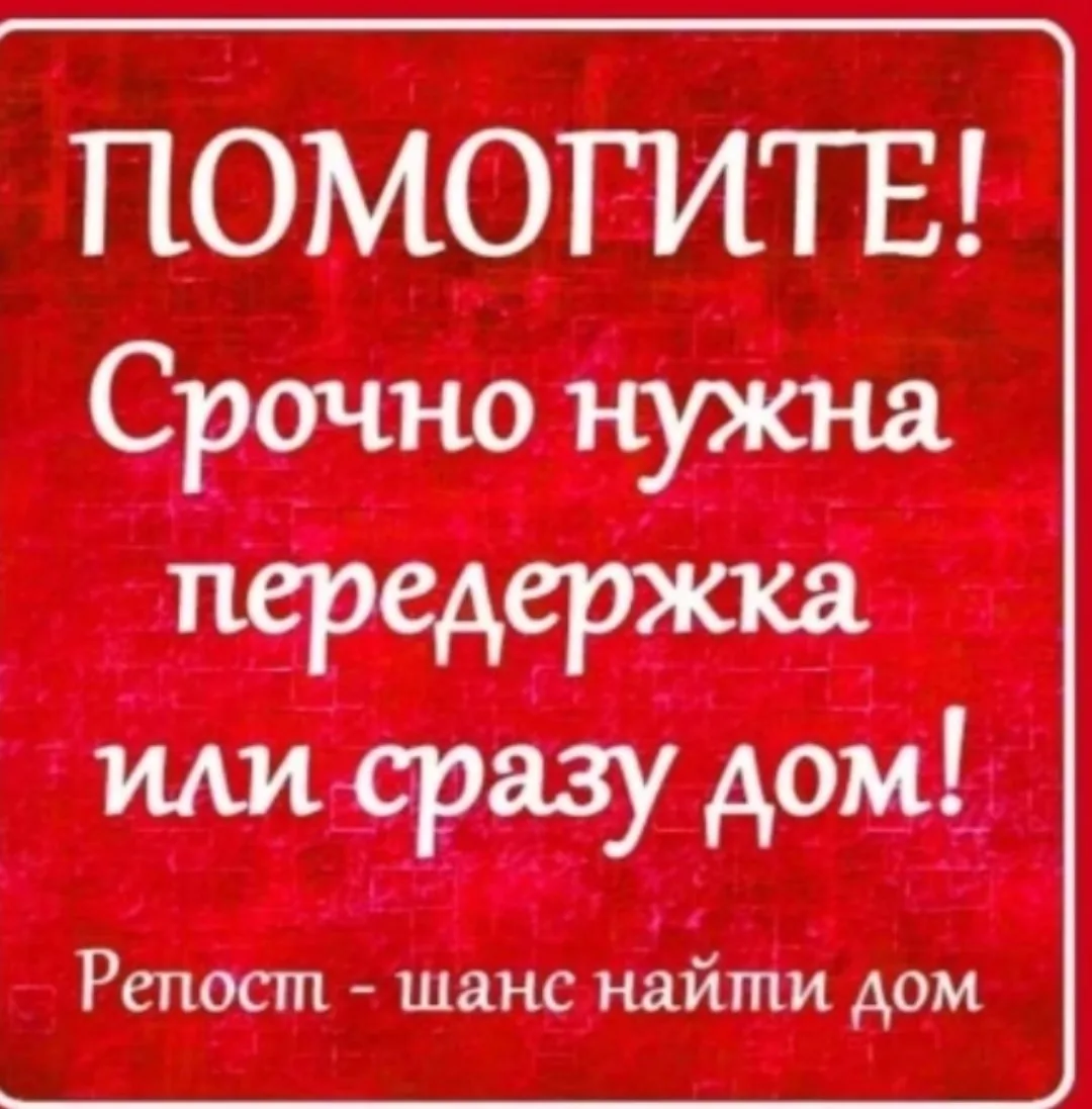 Изображение 1 к публикации «КАНДАЛАКША ВКУРСЕ»