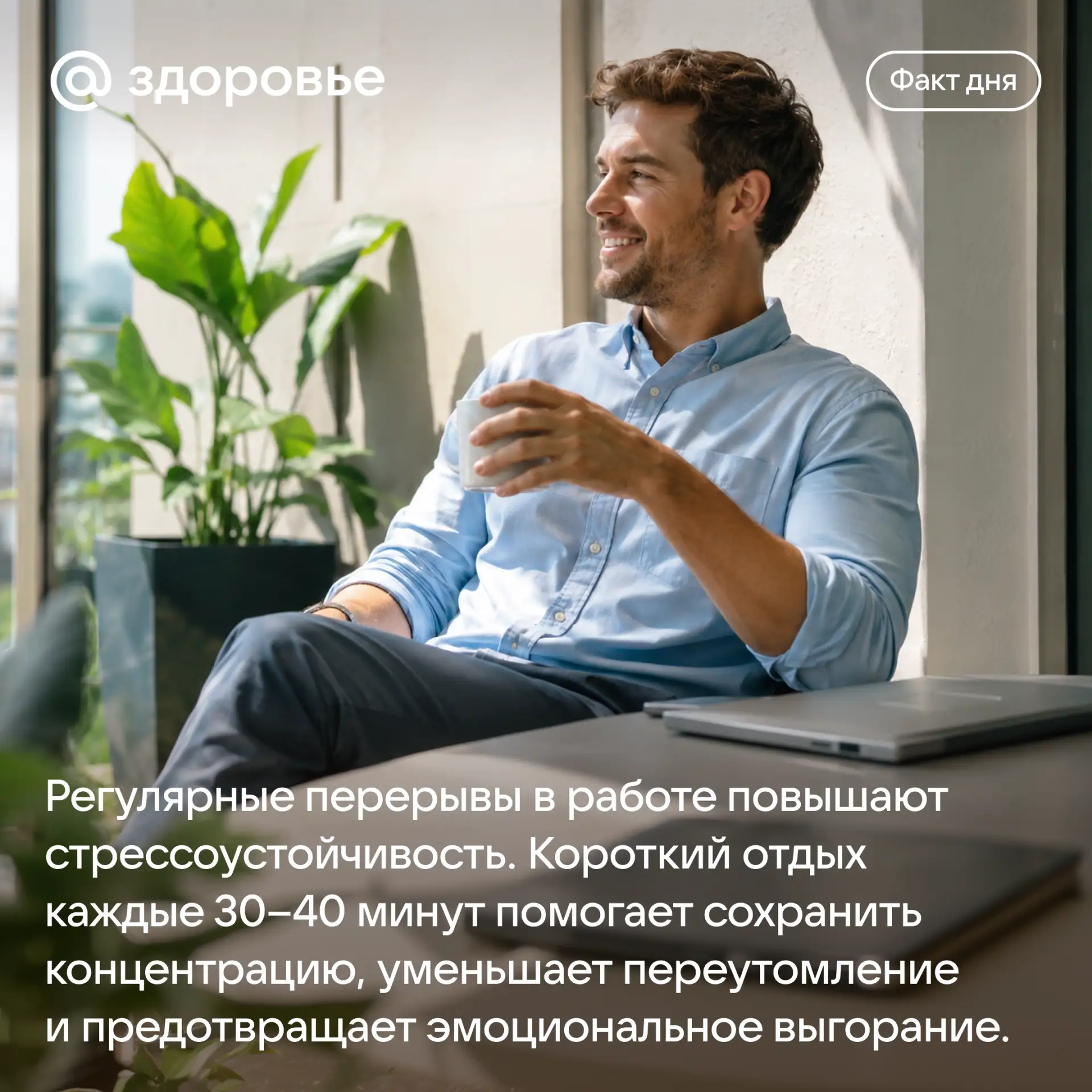 Как же приятно знать, что в школе именно так все и устроено для здоровой стрессоустойчи...