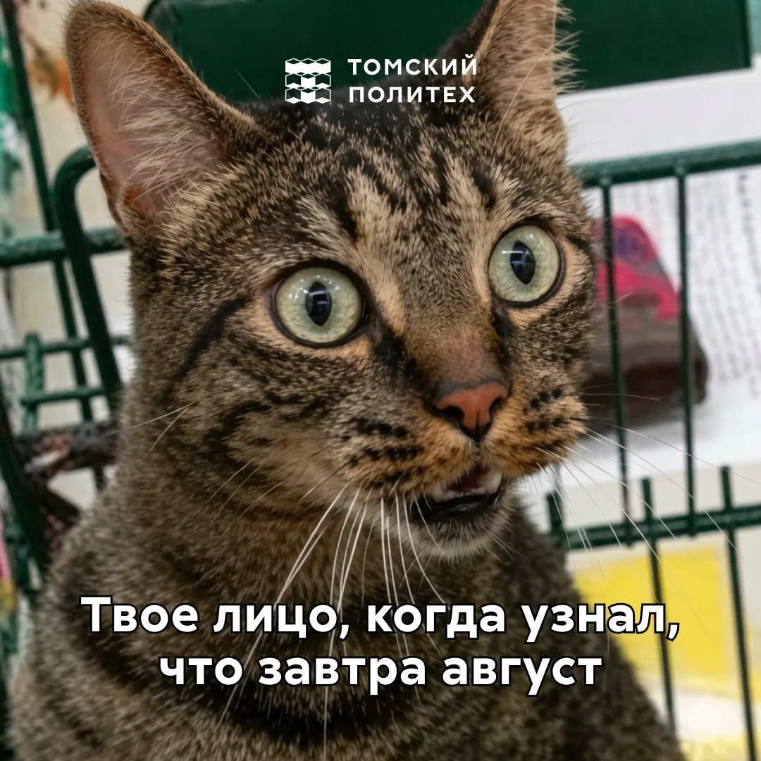 Не ожидали, что завтра август? 

Но знайте, что университет по вам очень соскучился, и впереди вас ж