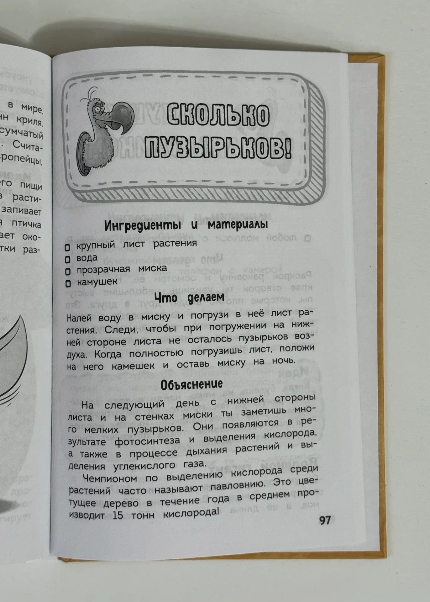 очень простой и наглядный эксперимент

наблюдали, как один маленький листик выделяет кислород :)

Ес