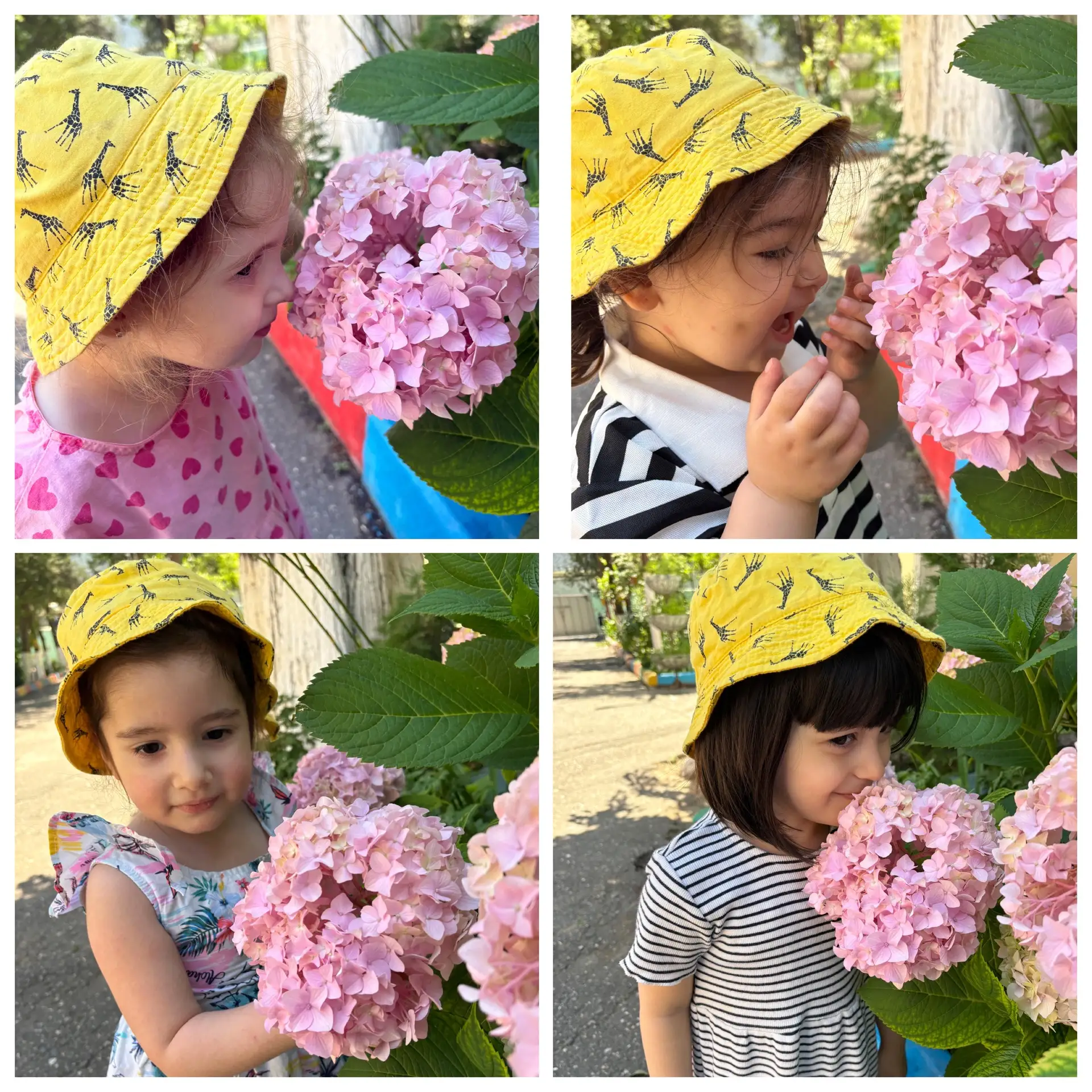 Наши яркие цветочки ❤️🌹