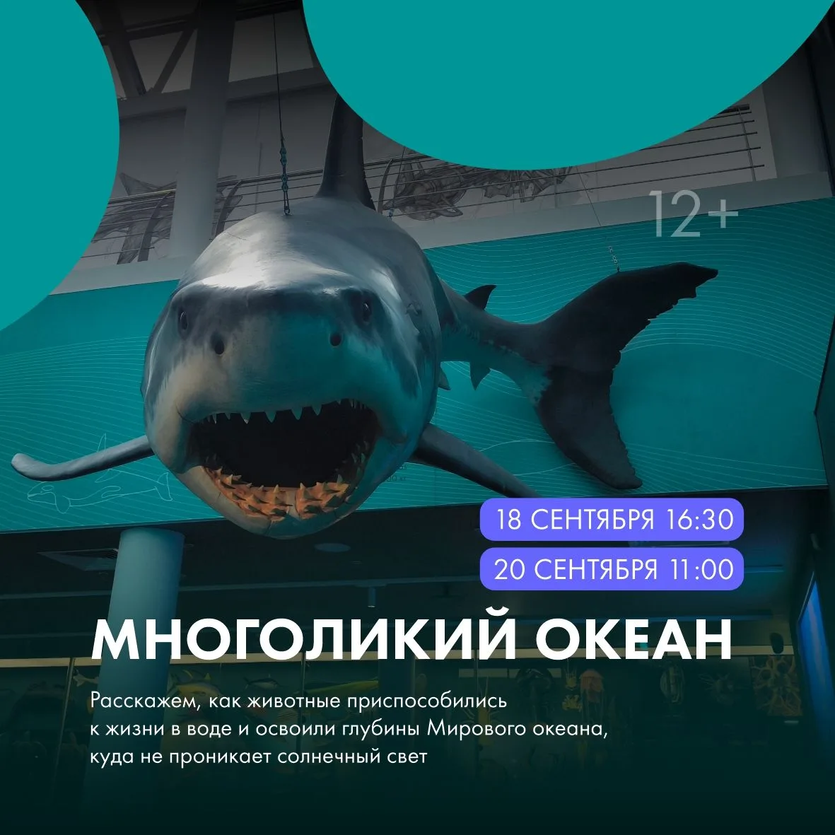 Приглашаем юных исследователей и их родителей на новое занятие из цикла «Эволюция жизни...