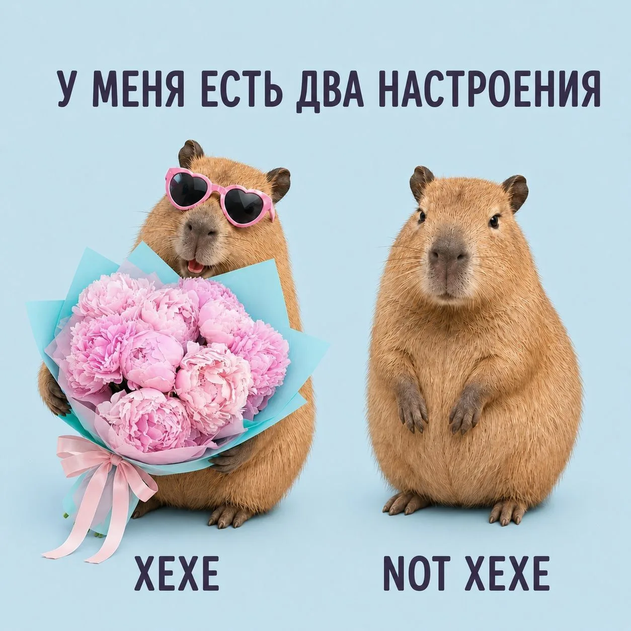 Сегодня такие вот хихи и хаха