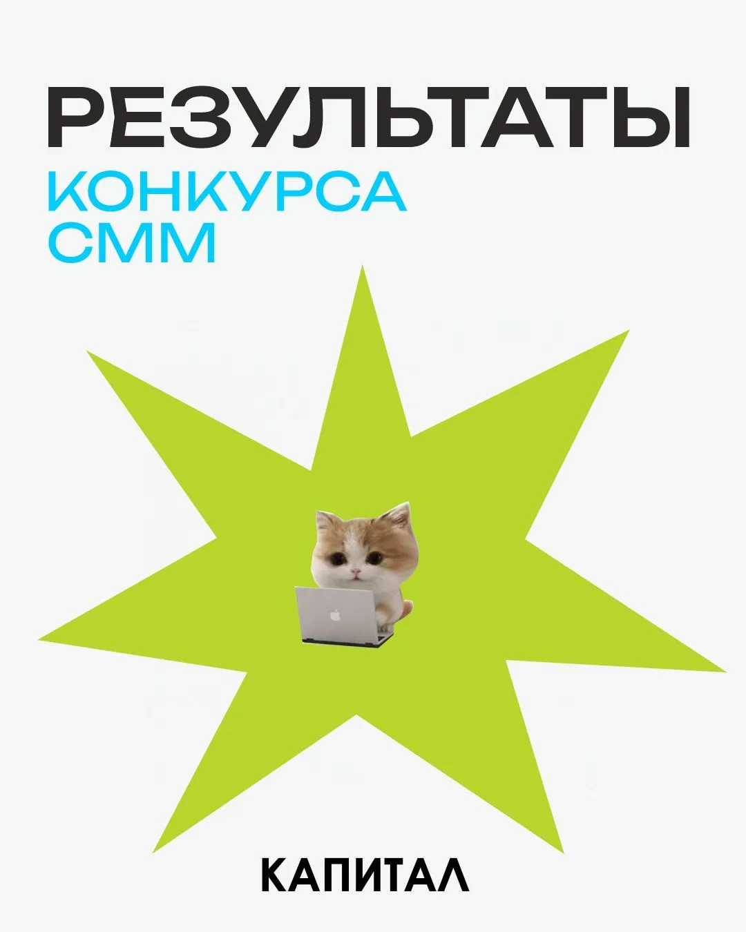 Мы запустили конкурс и готовились к долгому выбору. Но одна работа заставила нас остановиться сразу.