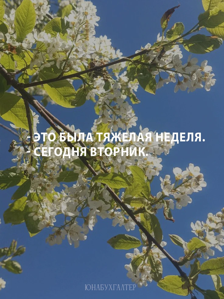 Вторник, мы #напланерке.