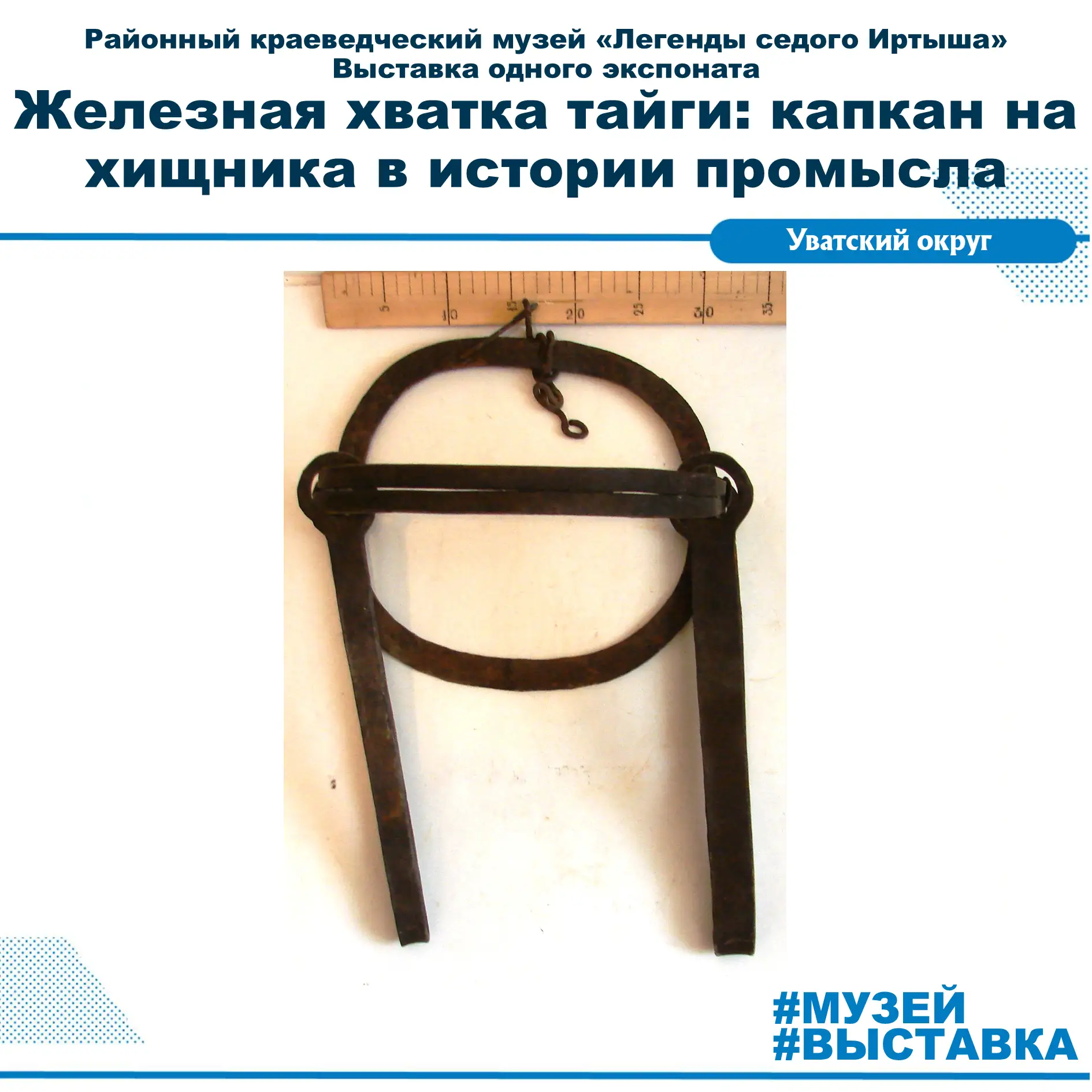 Железные зубы тайги: как охотились на волка 100 лет назад