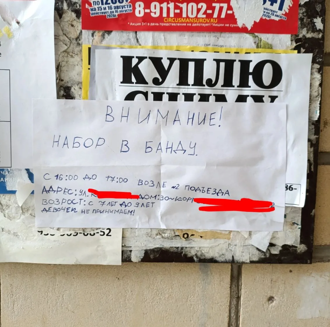 Андрюха, у нас банда, возможно, криминал, по коням