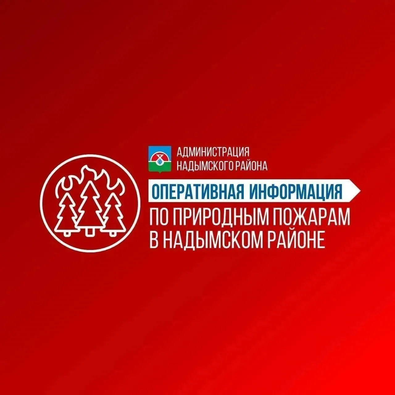 📍Информация о пожарной обстановке в лесах Надымского района