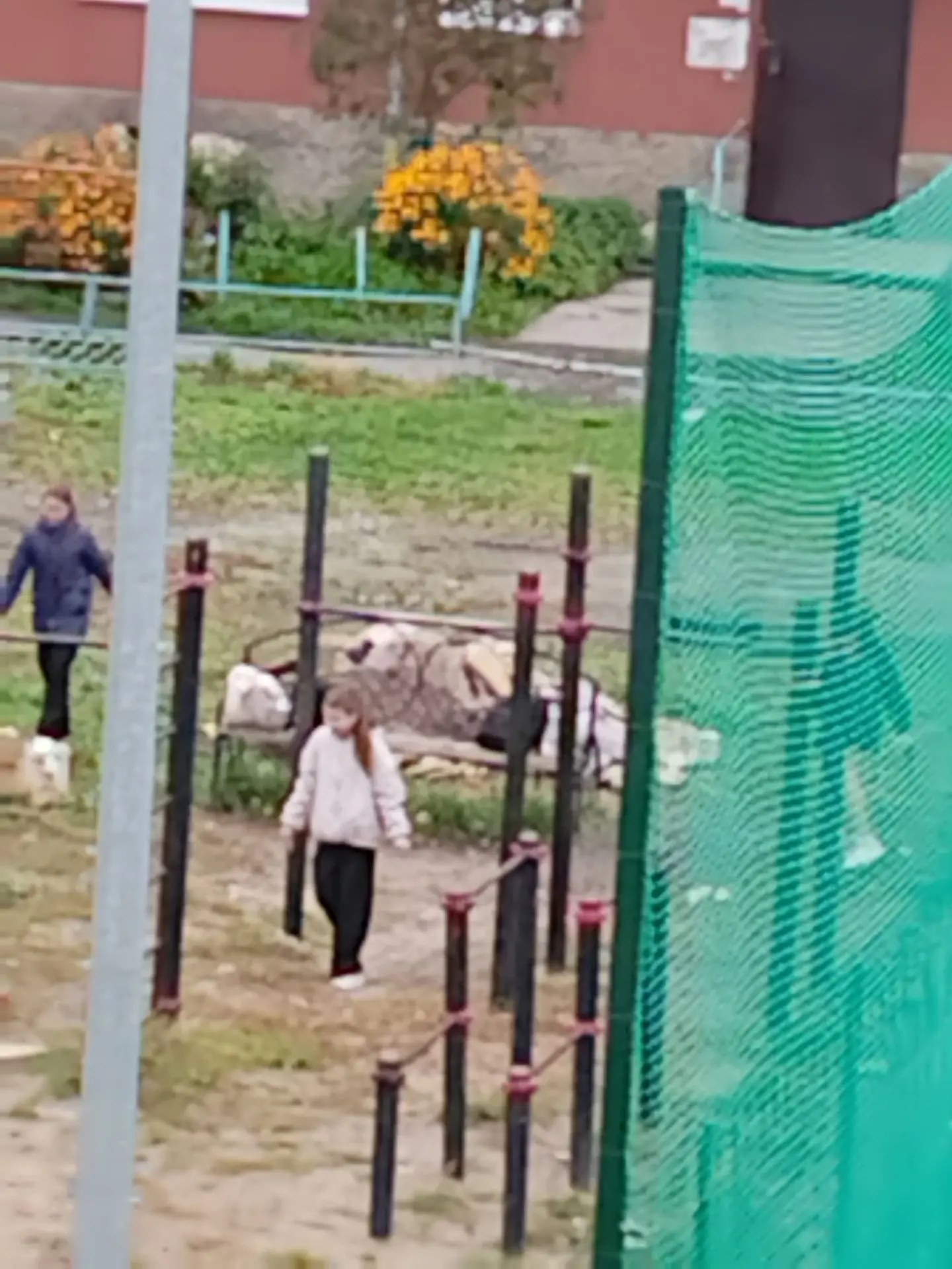 Сегодня три девочки из 10 школы, 5, Г класса, собрали весь мусор, навели порядок на пло...