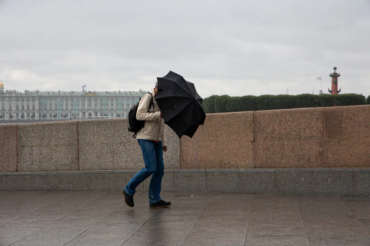 🌧  Петербуржцев предупредили о проливных дождях. Осадки ожидаются 10 сентября, сообщил...