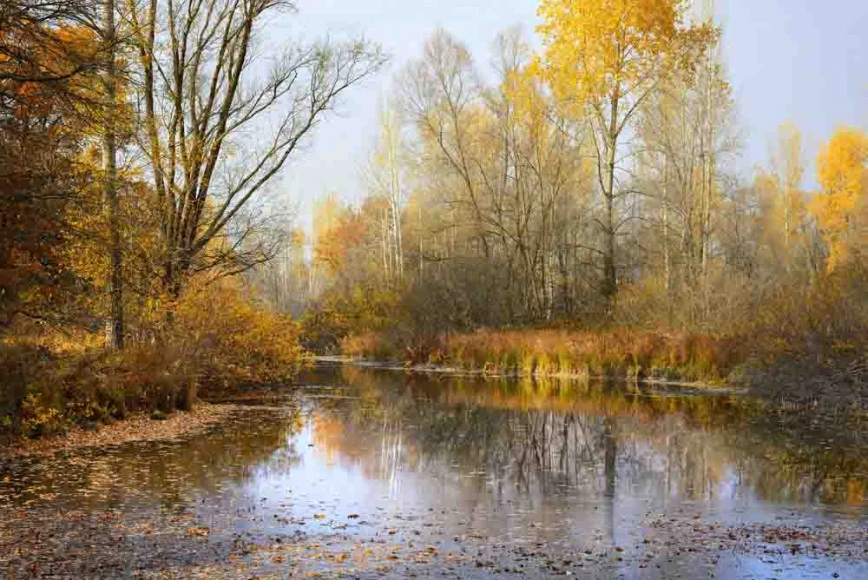 🌾 4 октября — день Кондрата да Ипата: народные традиции и поверья 🌾