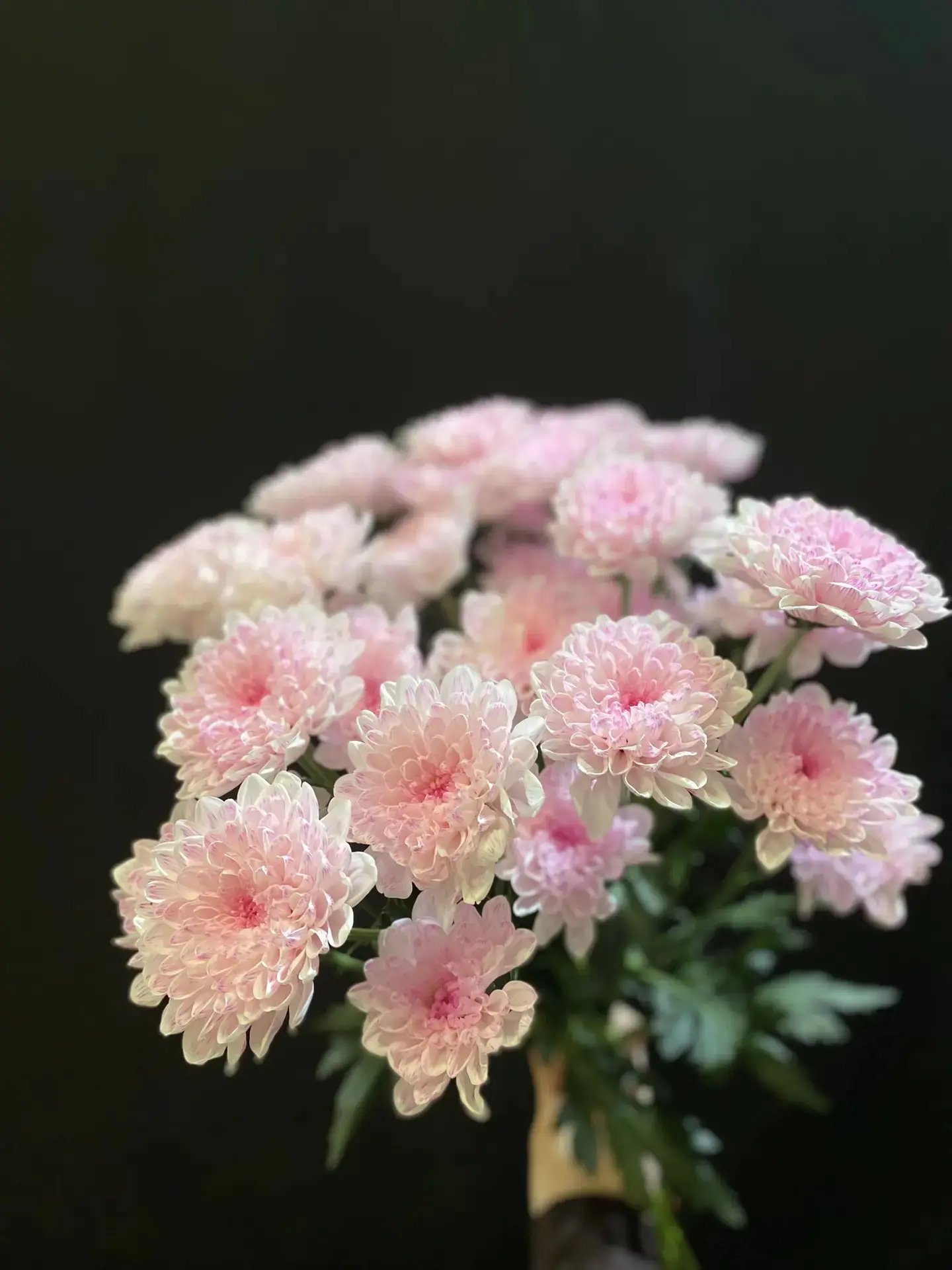 Так же получили кустовые хризантемы и лизиантус 🤩