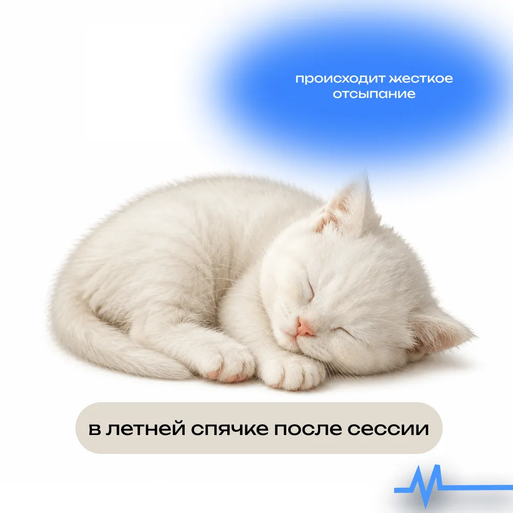 Выбирай, какой ты этим летом ❤️