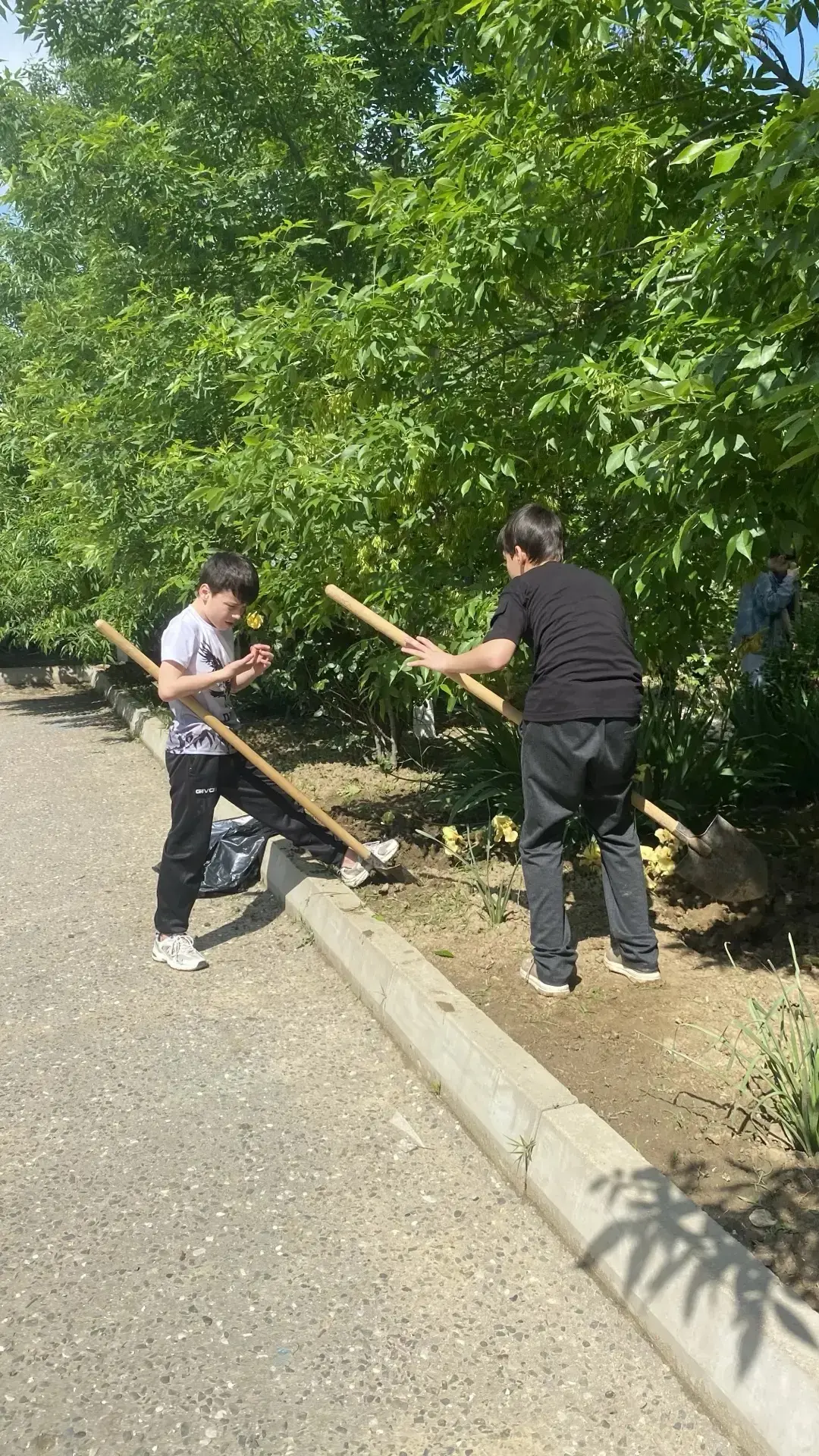 Учащиеся 7 «Б» класса приняли участие в субботнике 24.05.2026г.