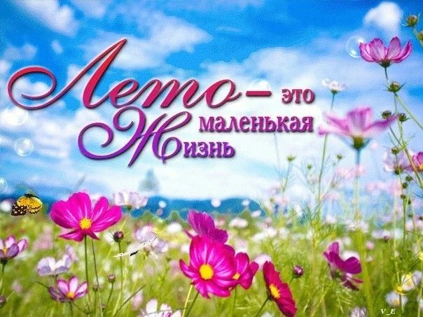 ☀️ 15 июля — Середина лета ☀️

Сегодня особенный день — середина лета. Кажется, совсем недавно мы вс