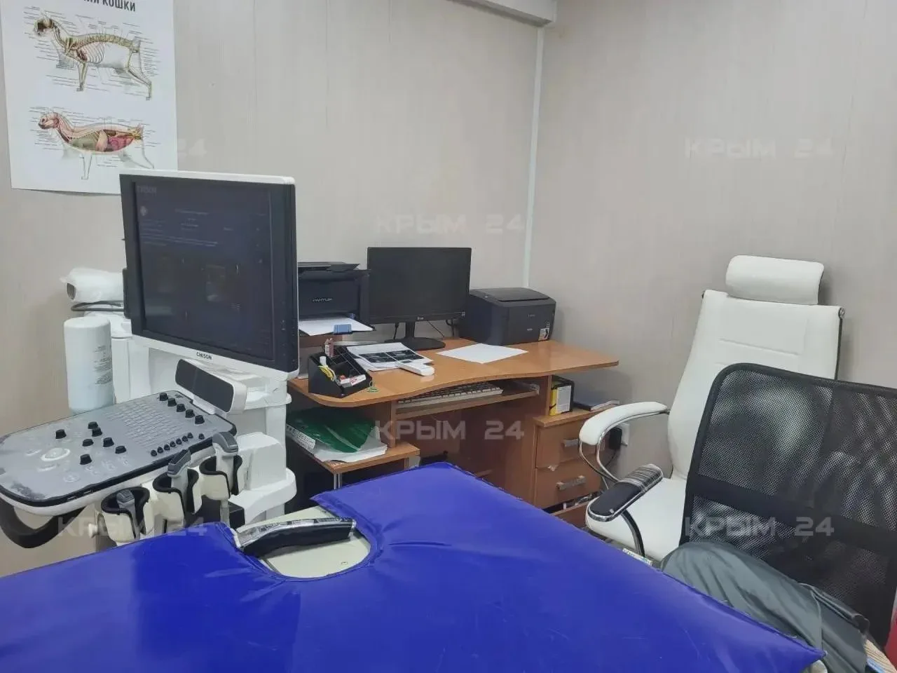 🏥 Ветклиника Феодосии переедет в новое здание
