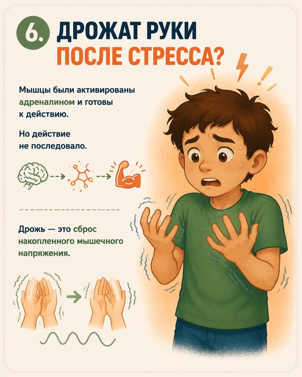 Тело никогда не делает ничего просто так.  Подёргивание при засыпании, мурашки от музыки, дрожь посл