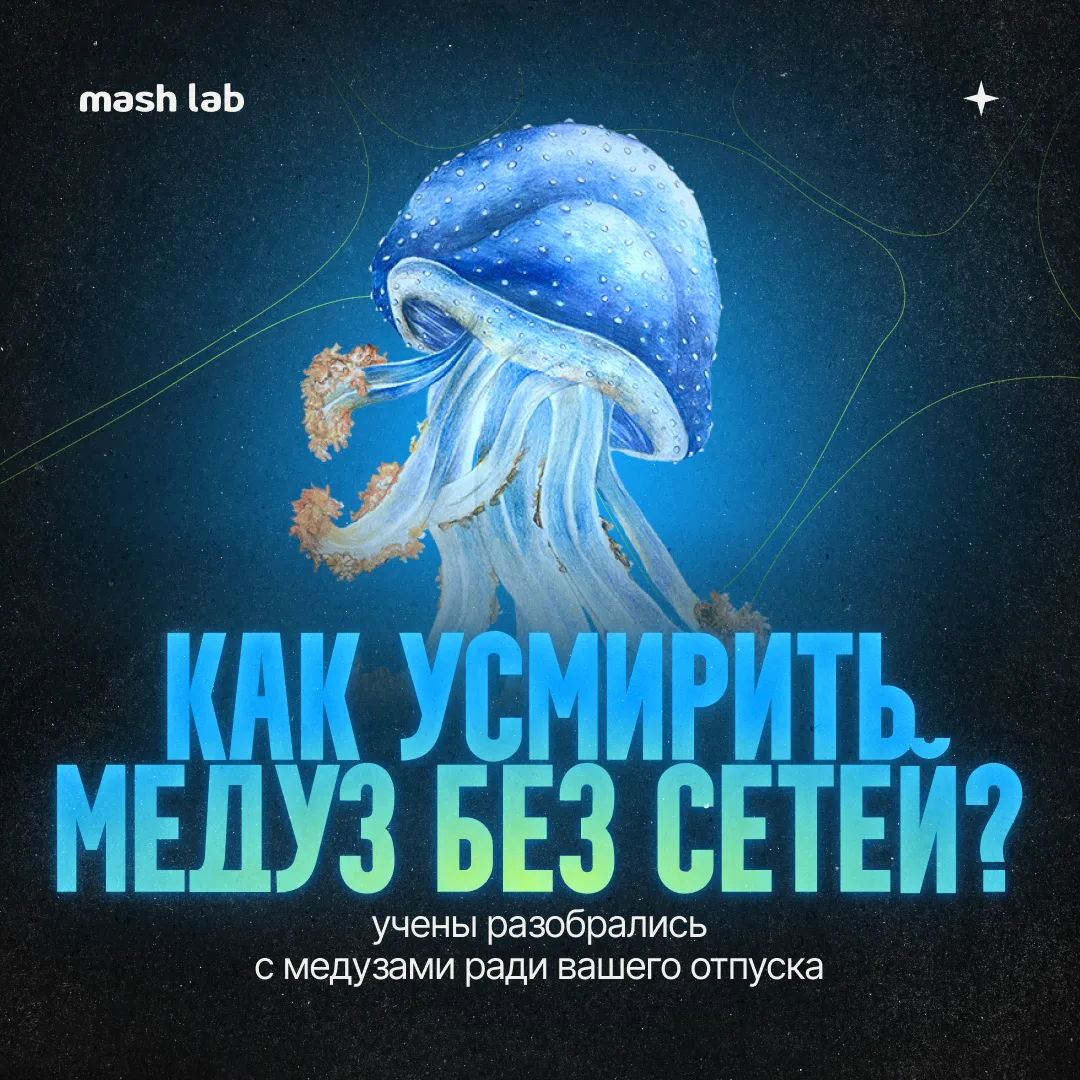 Как вы относитесь к медузкам? Любите их? Или одно наличие желейного киселя портит вам н...
