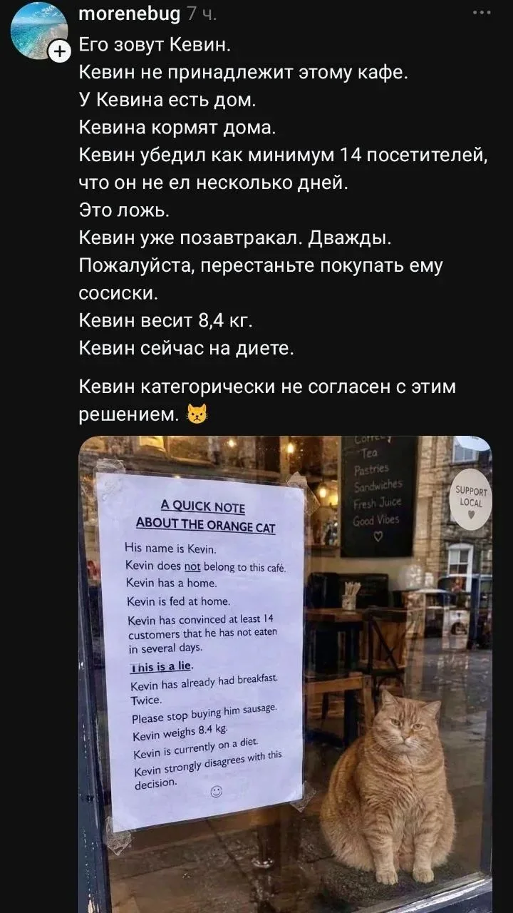 Все мы немного Кевины