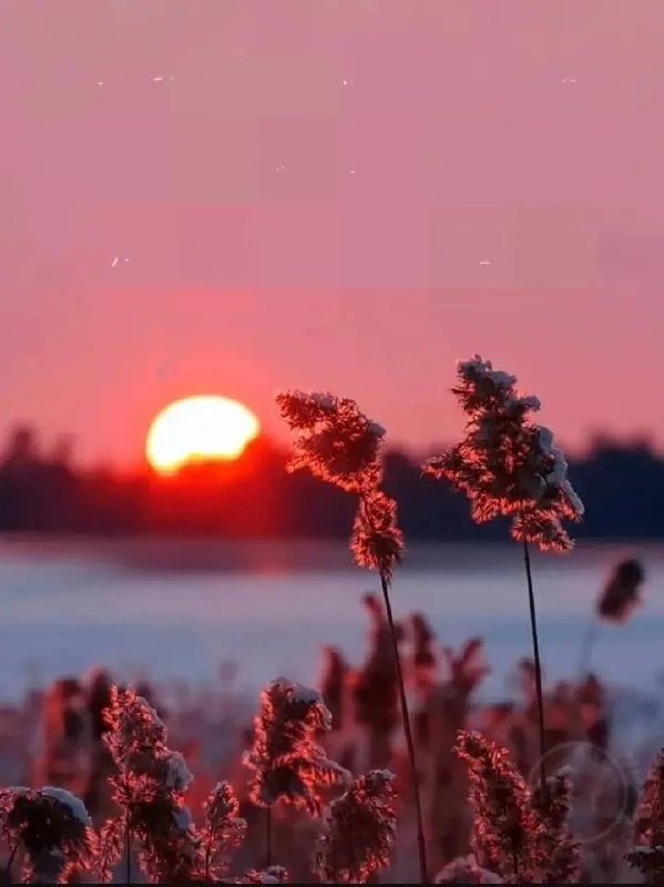 ☀️ Ну вот и всё — сегодня последний день лета.