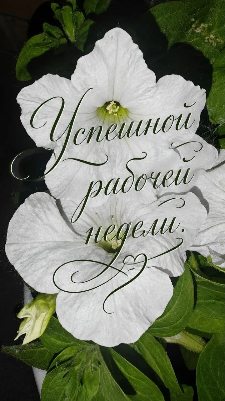Всем прекрасного солнечного дня ! ☀️ Всё в ваших руках, только вы можете изменить всё! Всем успеха в