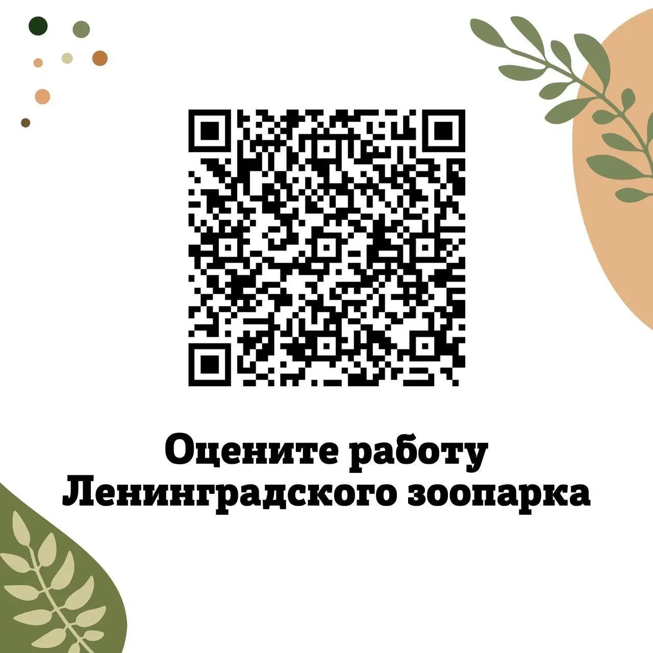Дорогие друзья! Нам важно ваше мнение о нашей работе. Пожалуйста, оцените Ленинградский...