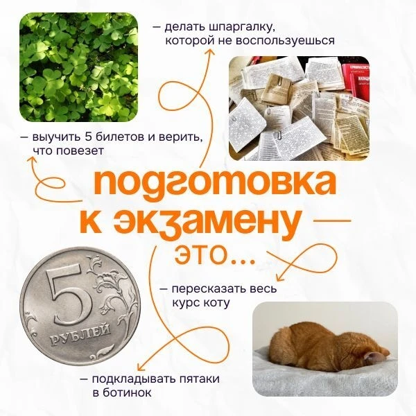 Как подготовиться к экзаменам без вреда для здоровья: опора на главные потребности.
