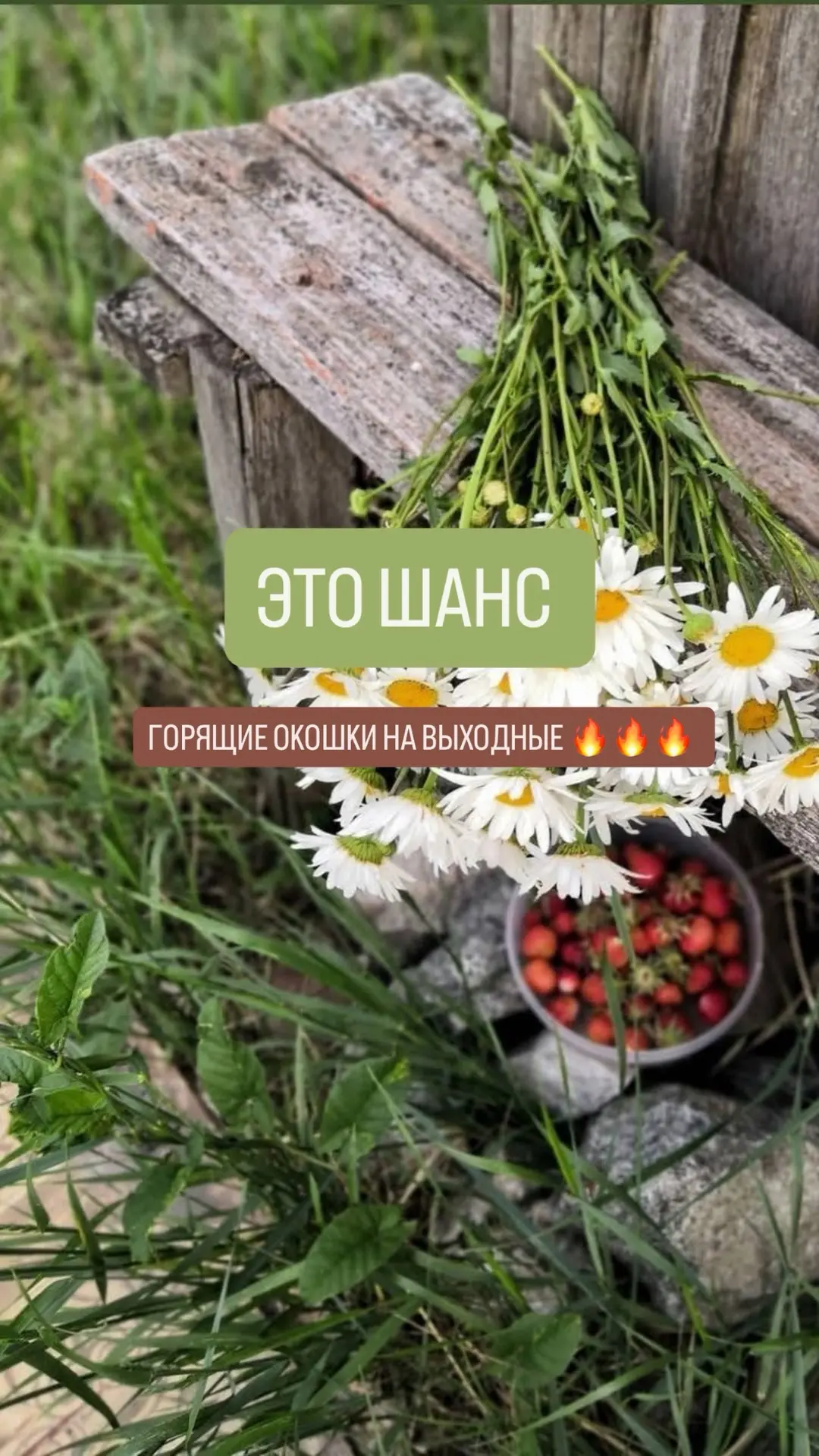 ЭТО ШАНС! Выходные с "Моим Доктором"🥰