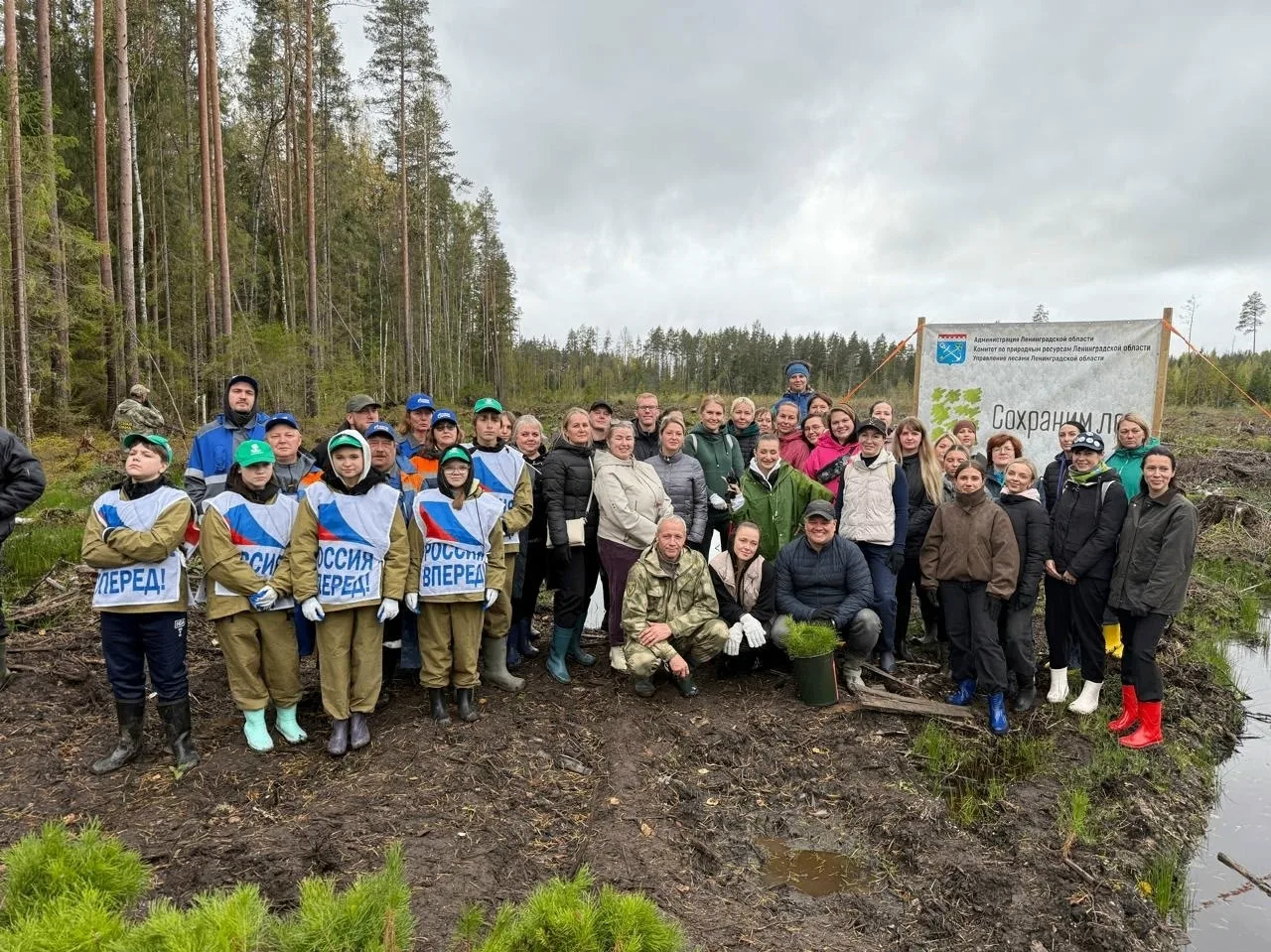 🌲 В Орлинском лесничестве высадили 2000 сосен