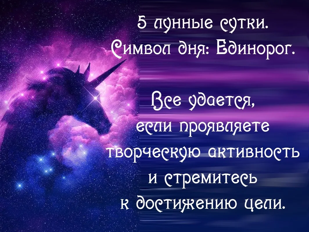 5-й лунный день  с 19.06 09:04 по 20.06 10:34 MSK.
Фаза: ⇡ растущая Луна, освещенность 23%.
Луна во 